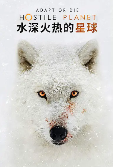 水深火热的星球